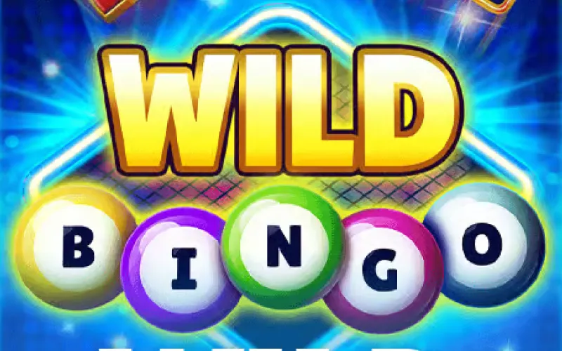 Experience even more excitement with Wild Bingo at BC Game casino.